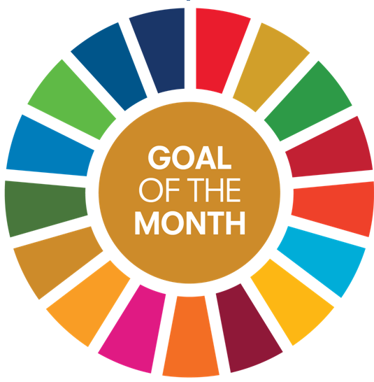 Goal of the Month for June SDG 12 Responsible Consumption and