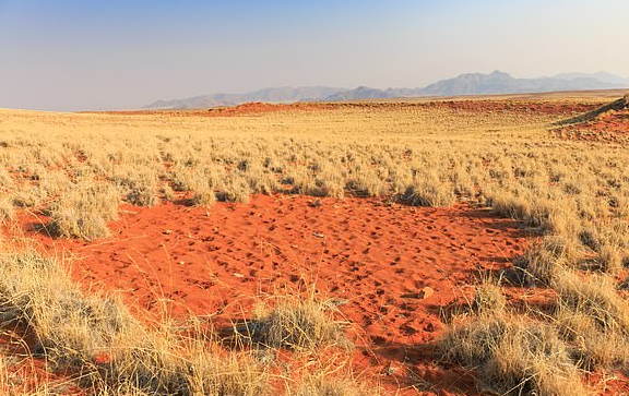 Scientists finally solve mystery of fairy circles in desert with