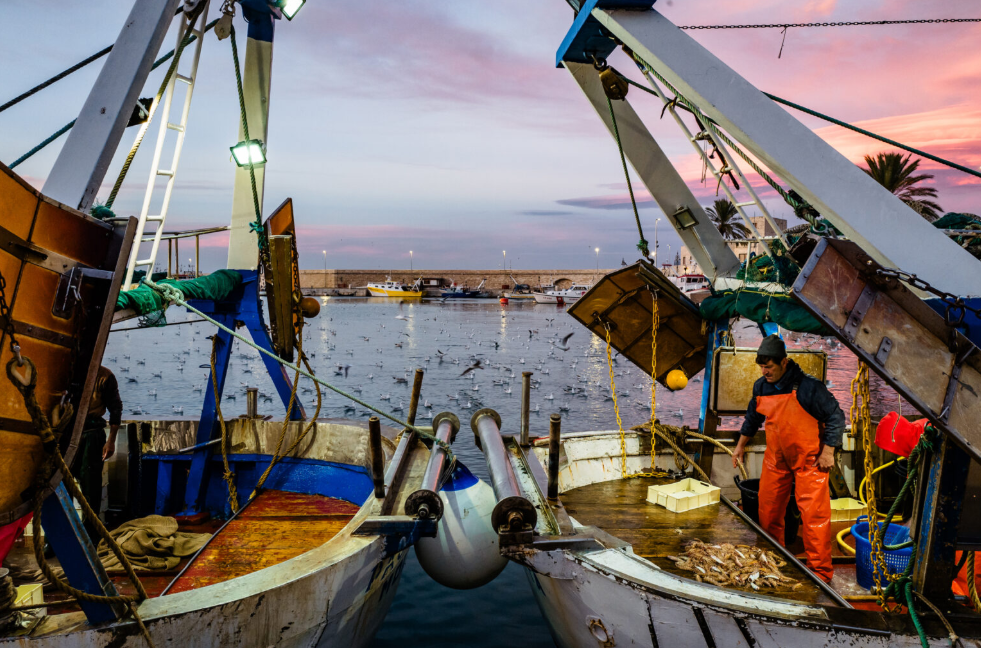 Top Ocean Experts Sound the Alarm Over Growing Marine Crisis Due To