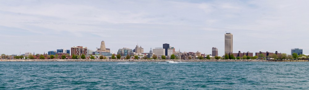buffalo