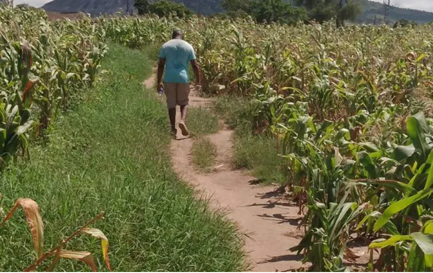 How climate change is complicating Zimbabwe’s fight against malaria