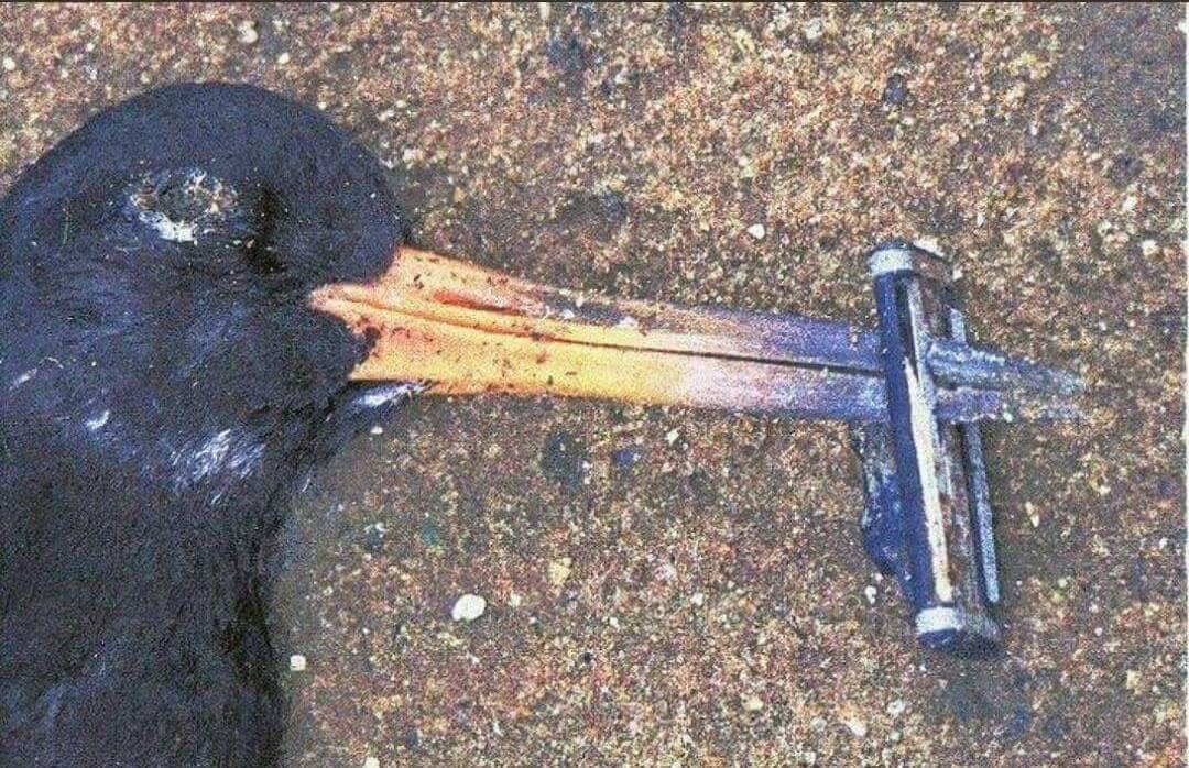0
