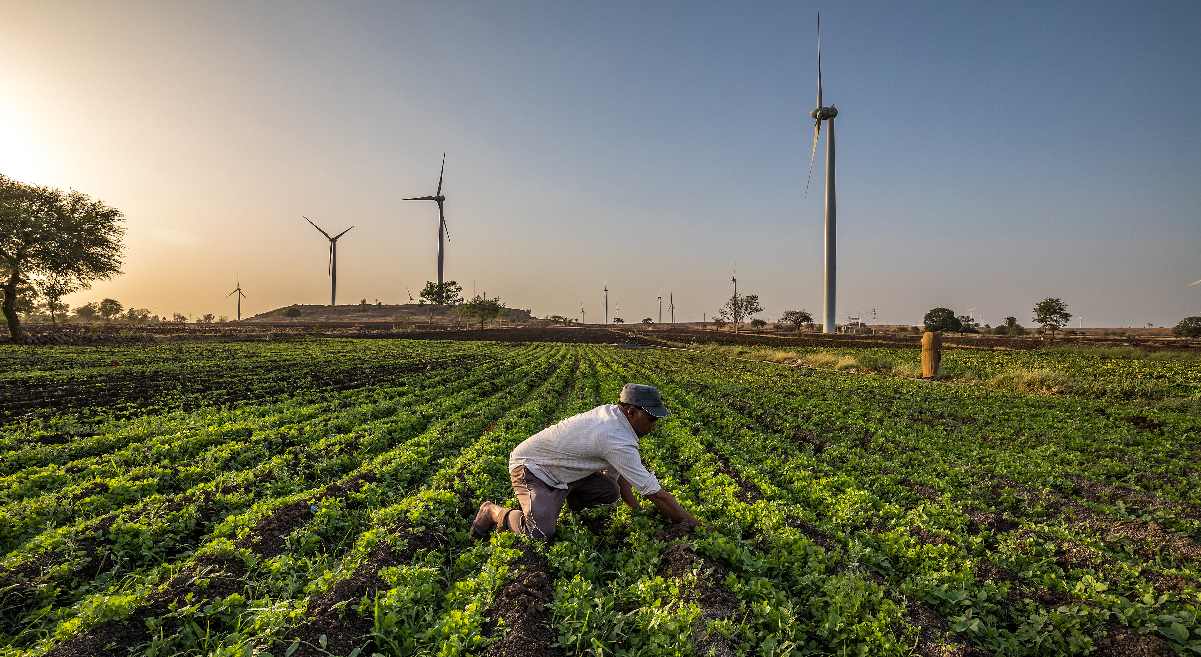 Wind Vision Photo Competition Winners Local Impact “An Indian farmer working in his field next to a Wind turbine in Dhar. picture taken in Dhar district of Madhya Pradesh state of India.”