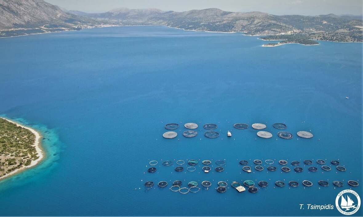 Tελευταία Νέα του Αρχιπελάγους - Άνοιξη 2022
