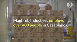 YouTube Video (PPDlituElhs) Thumbnail